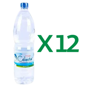 Eau minérale naturelle 1L - Lot de 12