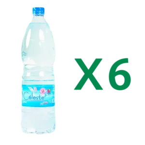 Eau minérale naturelle 1,5L - Lot de 6